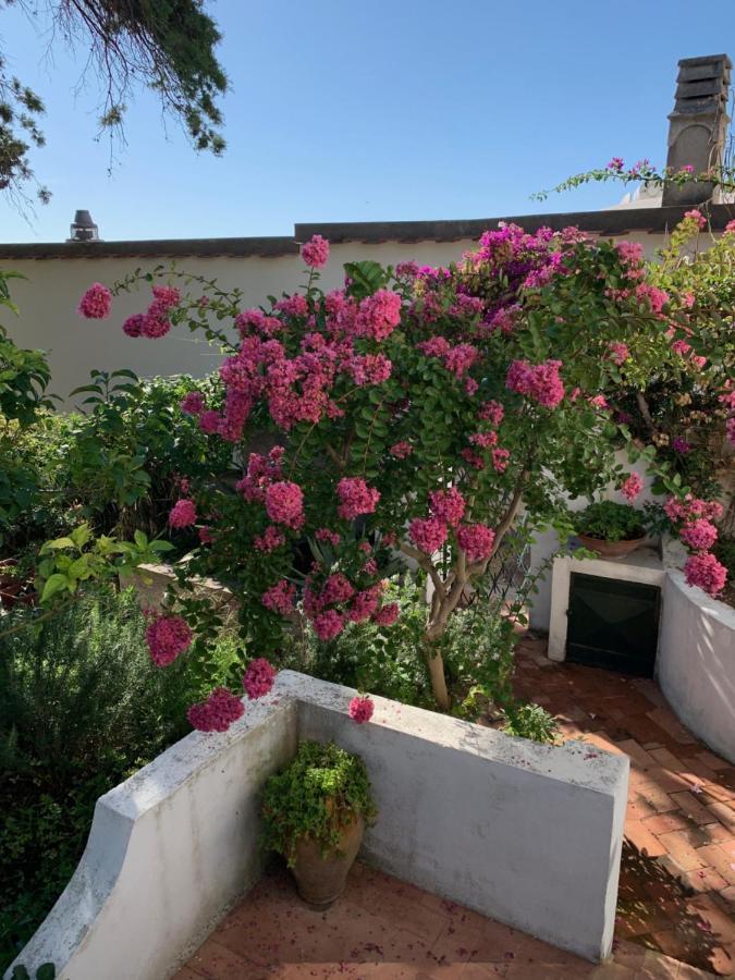 Il Geranio Bed & Breakfast Anacapri  Exterior photo