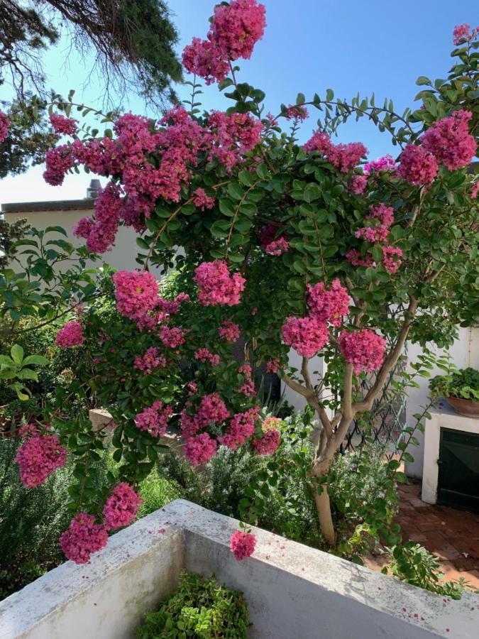Il Geranio Bed & Breakfast Anacapri  Exterior photo